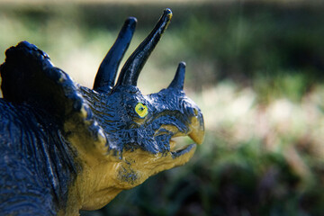 toy triceratops with blue and yellow coloring, Triceratops is a herbivore dinosaur from the...
