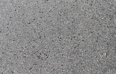 Ants on the Asphalt