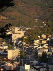 高台から見下ろした夕方の街の風景