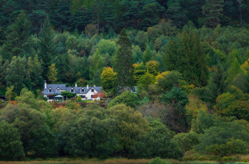 House In The Mountains