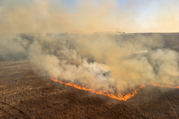 Fire in the field, burning dry grass, flames and smoke. Danger and natural disaster, harm for...