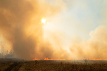 Burning flames, a lot of smoke in the field. Nature on fire, agricultural and ecological harm