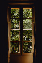 La fenêtre de la chambre fermée avec vue sur les arbres du jardin