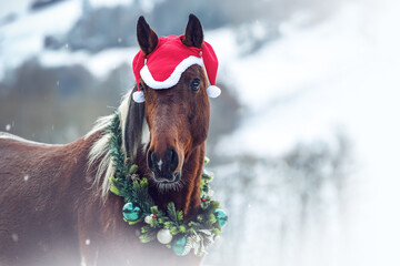 Head portrait of a bay brown arabian crossbreed horse wearing a santa hat and a festive christmas wreath in front of a snowy winter landscape outdoors