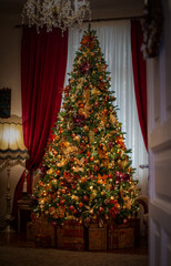 Christmas home decor, still life and decorations