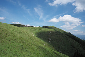 生石高原