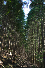 熊野古道小辺路