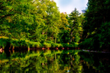 Fototapeta na wymiar Lush green reflections on Blackwater River