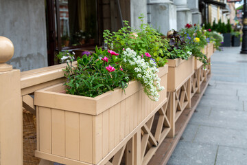Fototapeta na wymiar Flower boxes decorating a summer cafe