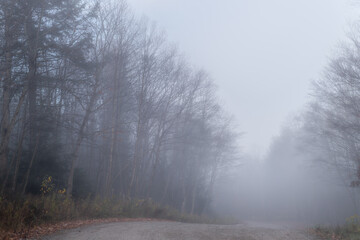 Morning Fog Over a Dirt Road