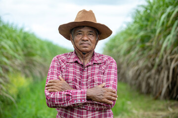 Portrait old man farmer wearing a shirt and cowboy hat standing arms crossed and looking at camera...