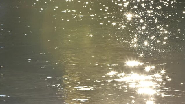 Beautiful sun light reflection on a river yellow golden hour sunset France Herault 