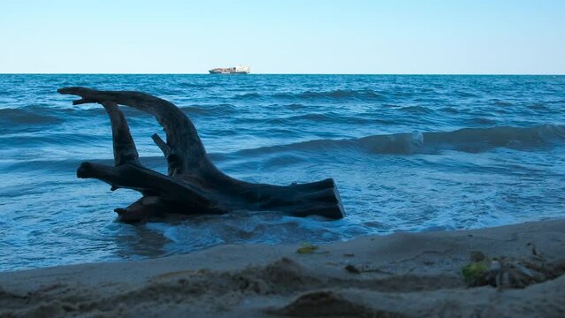 Old branch on wavy sea. A view of old tree tranch lie in the foamy waves on the background on seascape.