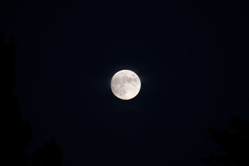 Obraz na płótnie Canvas full moon in the night