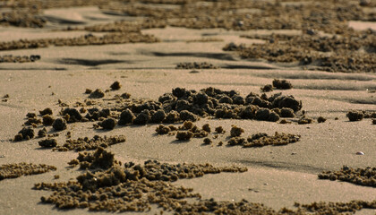 sand on the seashore sand marks