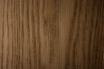 Ash tree natural wooden texture background