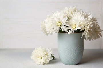Beautiful chrysanthemum flowers in vase on grey table, space for text