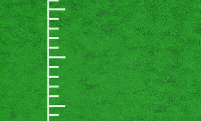 Grass green field color natural environment background symbol decoration sport american football white line turf yard area competition game rugby superbowl touchdown match event team championship 