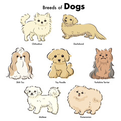 Fototapeta premium シンプルでかわいい人気の小型犬種 手描き線画ベクターイラストセット