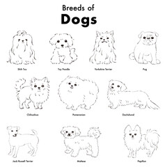 シンプルでかわいい人気の小型犬種　手描き線画ベクターイラストセット