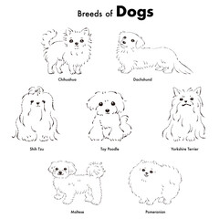 Obraz premium シンプルでかわいい人気の小型犬種 手描き線画ベクターイラストセット