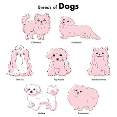 シンプルでかわいい人気の小型犬種　手描き線画ベクターイラストセット