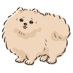 シンプルでかわいいポメラニアン　手描き線画ベクターイラスト