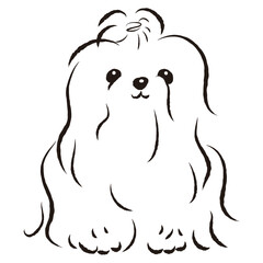 シンプルでかわいいシーズー　手描き線画ベクターイラスト