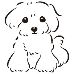 シンプルでかわいいトイプードル　手描き線画ベクターイラスト
