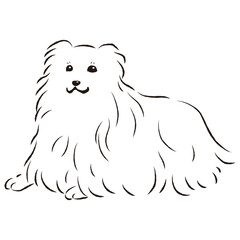 シンプルでかわいいシェットランドシープドッグ　手描き線画ベクターイラスト
