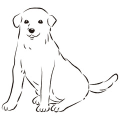 Fototapeta premium シンプルでかわいいラブラドールレトリバー 手描き線画ベクターイラスト