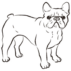 シンプルでかわいいフレンチブルドッグ　手描き線画ベクターイラスト