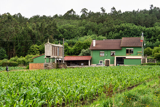 Beautiful village of Dombate in Spain, unique for its horreos, traditional granary barns