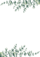 Eucalyptus watercolor green