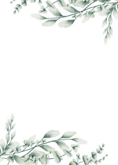 Eucalyptus watercolor green © losee