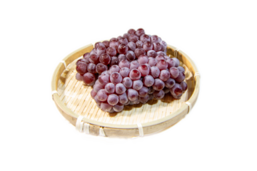 切抜き素材　新鮮で美味しそうな葡萄