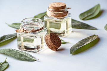 Salvia Officinalis Sage Oil, homemade sage infused oil in glass bottles, green leaves on white...