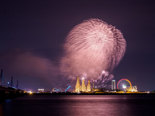 夏の定番ナガシマ遊園地の花火