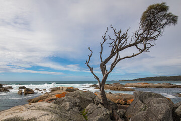 Colourful rocks at the Bay of Fires, Tasmania.