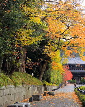 知恩院へと続く道
Chion-in street, Kyoto, Japan