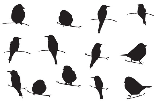 Vector set of image of a bird silhouette on a branch/ Silhouette of a bird standing on a wooden branch, on a white background