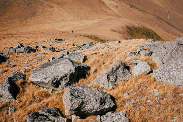 Top view of a mountain slope with yellow golden grass and many gray rocks