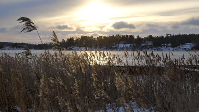 Winter landscape at the end of the day