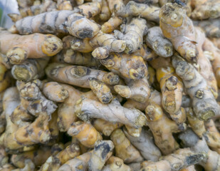 piles of galangal on a shelf in a supermarket