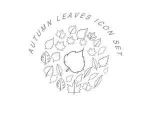 Vector autumn icon set 