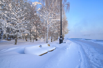 magic forest, Landscape of sky and trees, snow and streets. Winter, snow-covered path to the park.