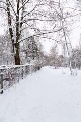 Snow-covered road in the park
