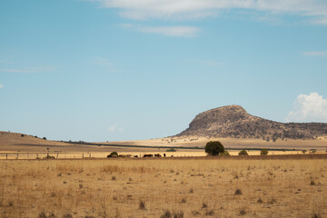 Medio ambiente, sierra, México, montañas, viajes, vacas, paisaje, pasto, amarillo, cielo, flora y fauna, desierto 