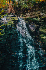 waterfall in the woods