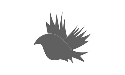 Black Birds